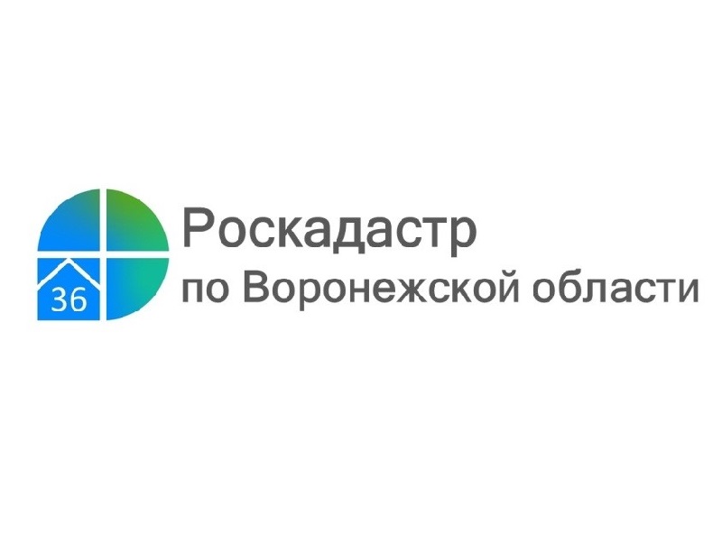 За полгода воронежцы заказали в 30 раз больше электронных выписок из ЕГРН, чем бумажных.