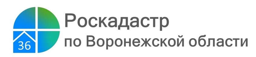 В выписках из реестра недвижимости теперь отсутствуют персональные данные воронежцев.