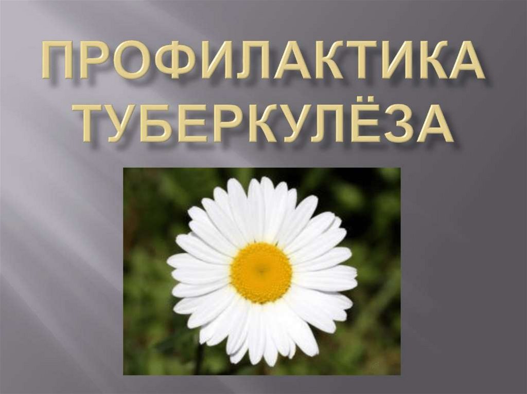 Профилактика туберкулёза.